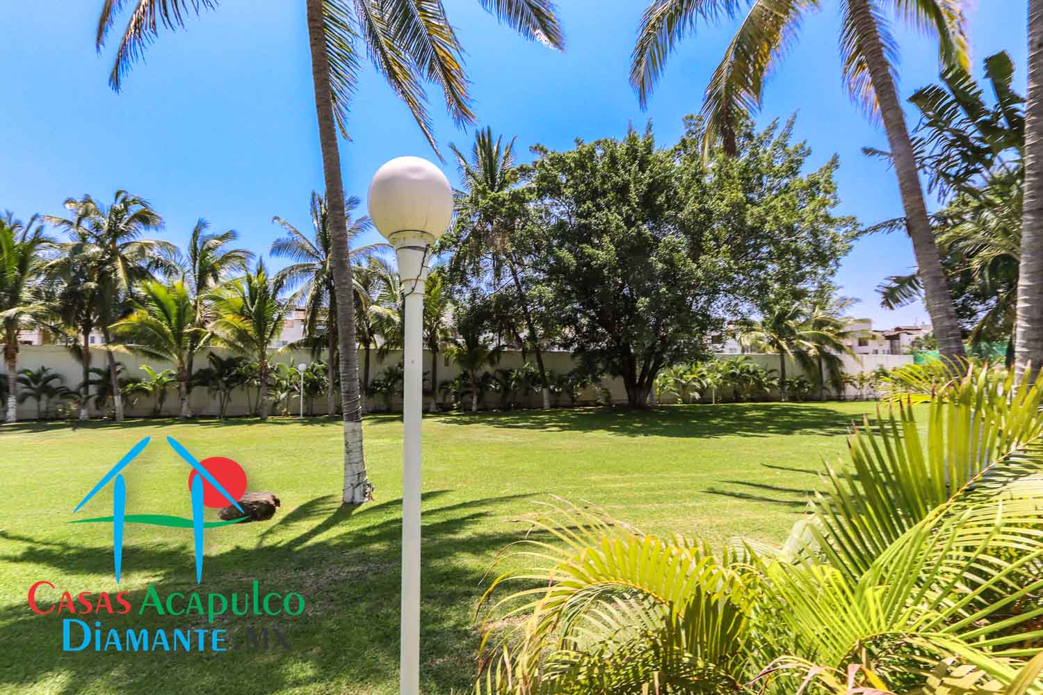 Terreno Son Vida Formentera 1 - Fotos del terreno 6 Terreno Son Vida Formentera 1 - Fotos del terreno 6